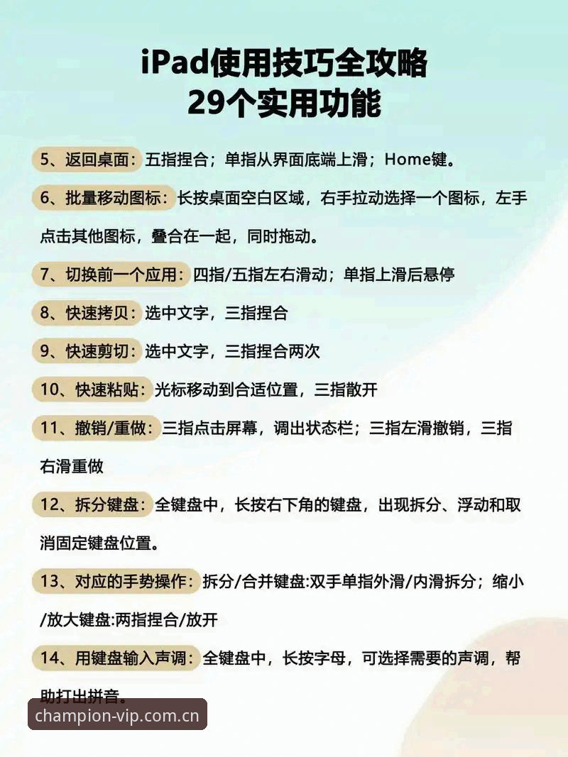 冠军娱乐平台使用指南：新手必看的完整操作教程